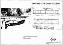 30ft Steel Plate Girder Deck Span